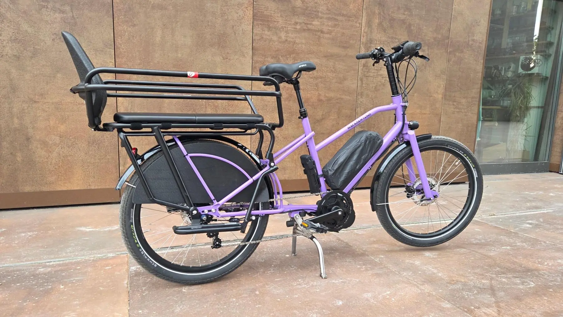 Le longtail violet vu de trois quarts arrière