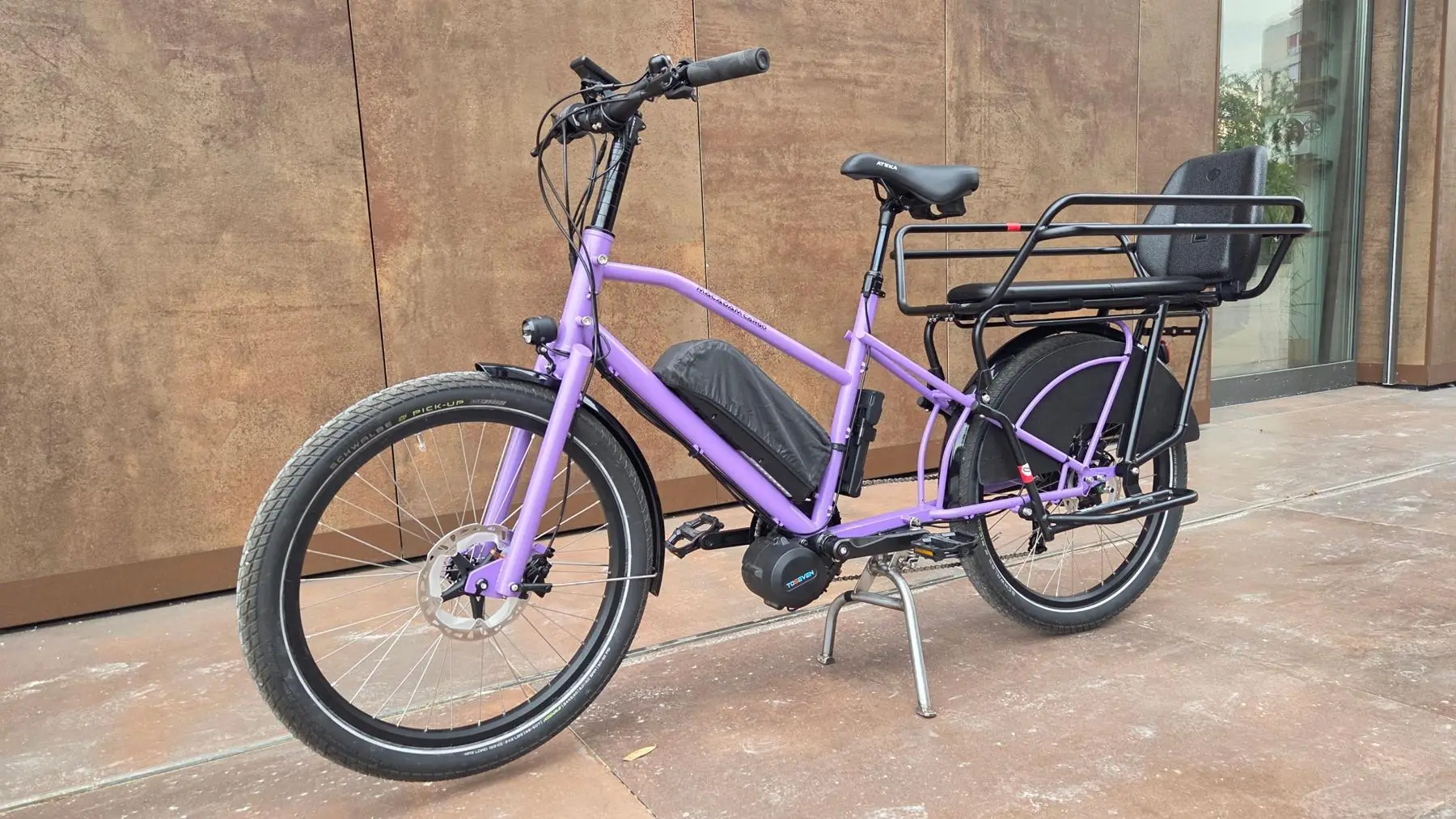 Le longtail violet vu de trois quarts avant