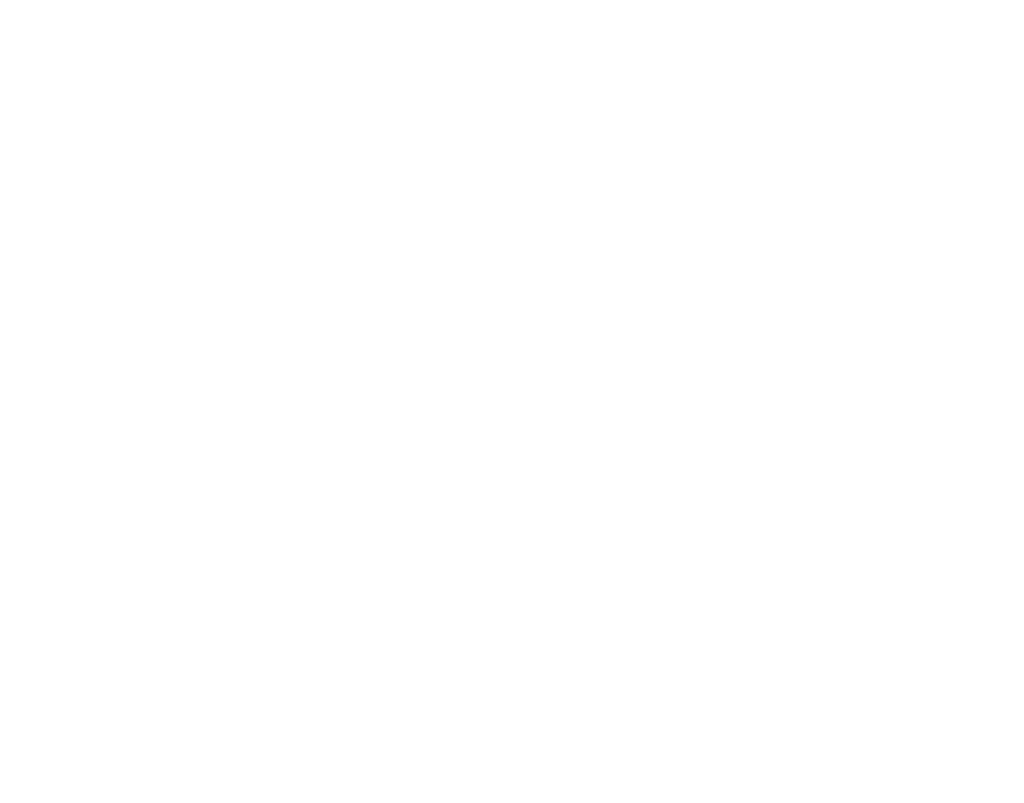 Logo Macadam cargo Genève