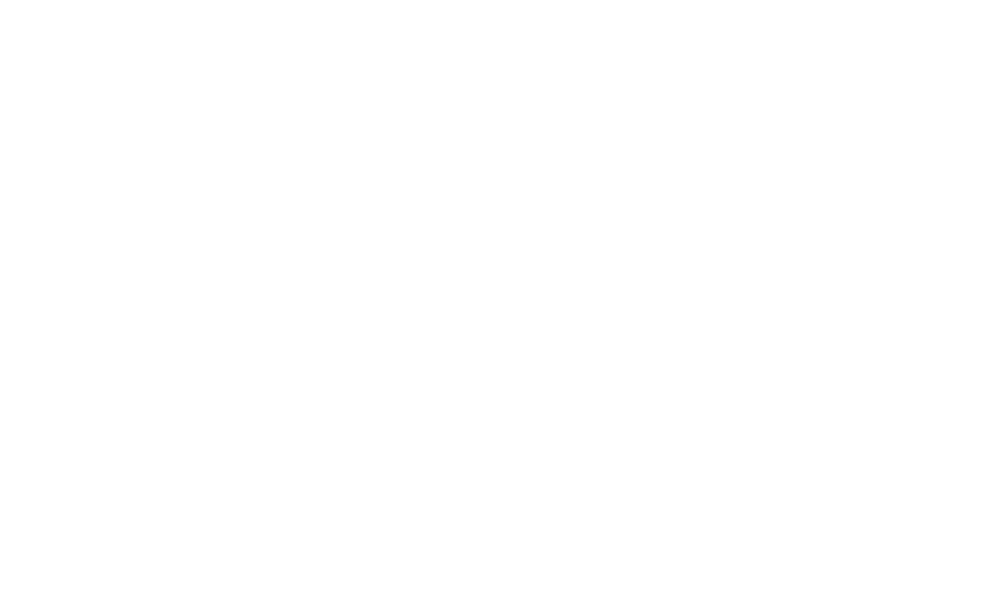 Logo Macadam cargo Genève