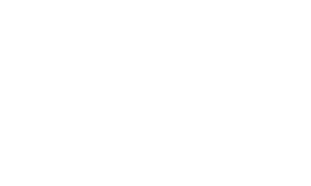 Logo Macadam cargo Genève